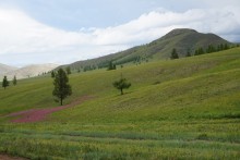 Mongolie : Nord 1 - Amarbayasgalant Khiid