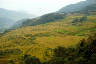 Chine : Les rizières de Yuanyang 1 à 2